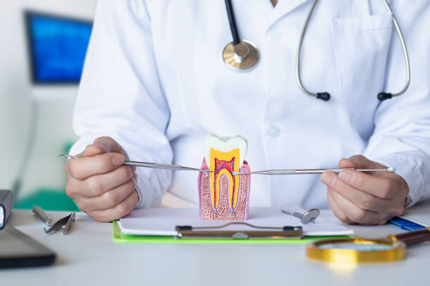 Best Emergency Gum Treatment in New Plymouth, ID
